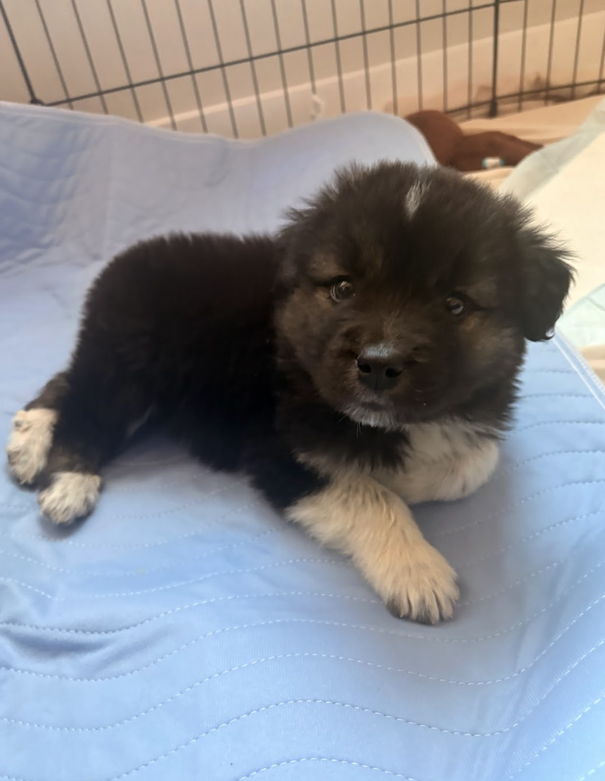 Screenshot 2026-04-13 at 2.40.34 PM.png