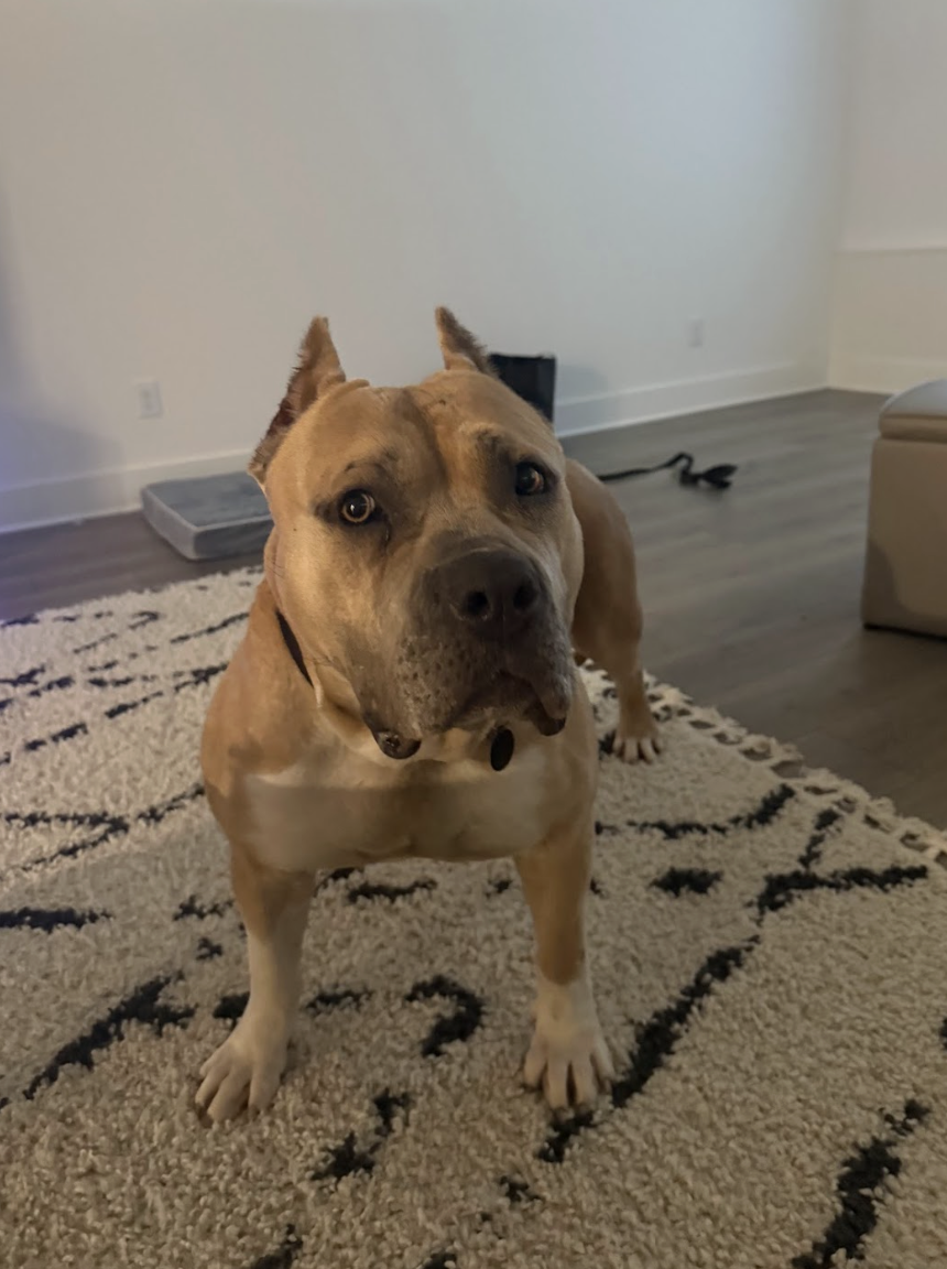 Screenshot 2026-02-27 at 2.36.50 PM.png