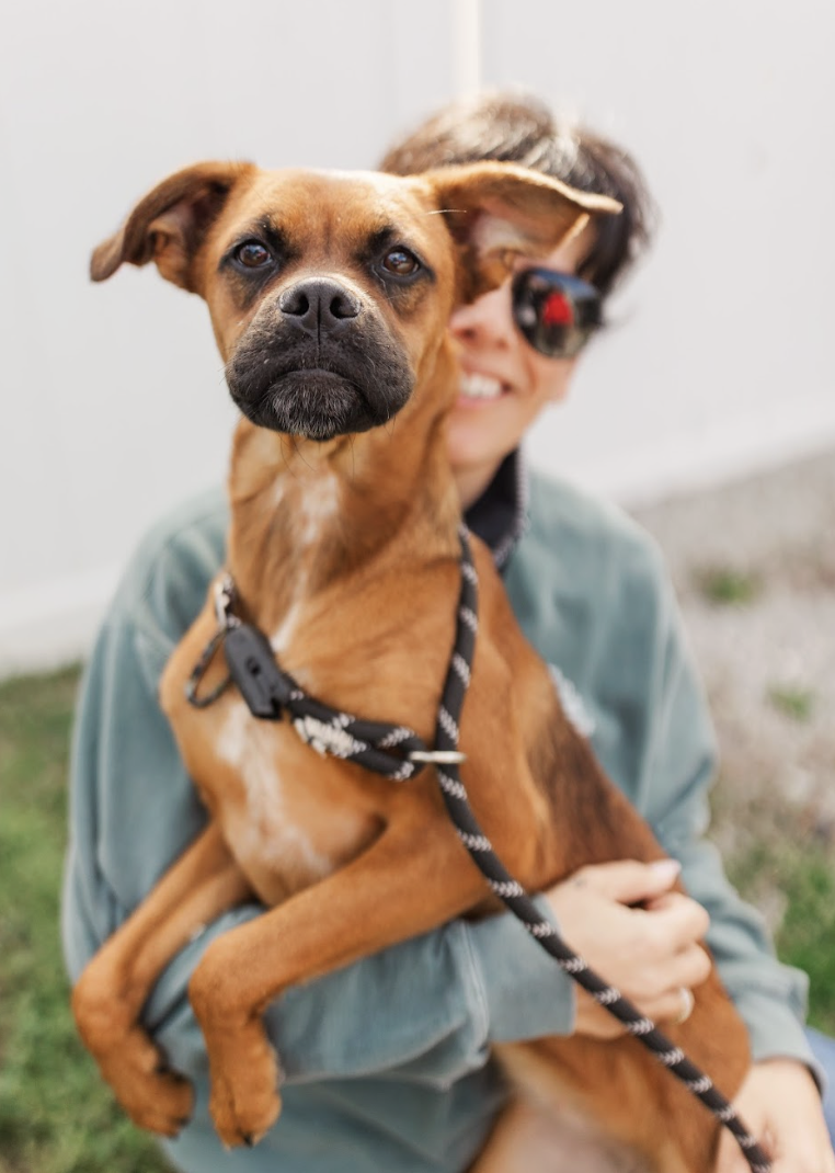 Screenshot 2026-03-20 at 2.27.48 PM.png