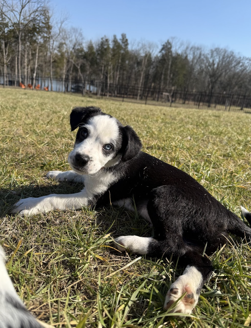 Screenshot 2026-02-20 at 3.48.19 PM.png