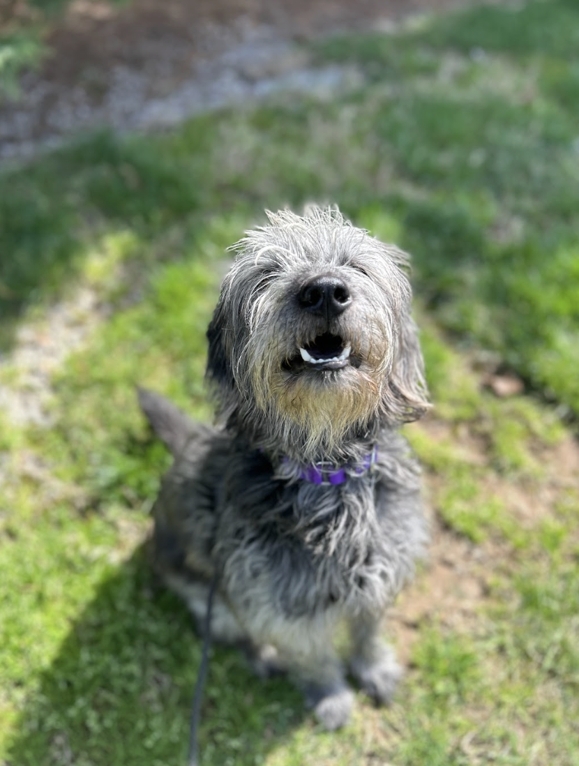 Screenshot 2026-03-14 at 4.48.50 PM.png