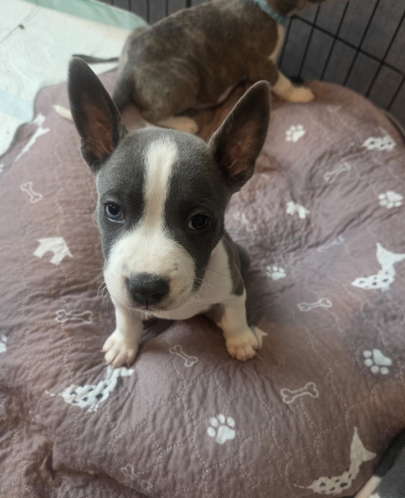 Screenshot 2026-04-23 at 2.17.57 PM.png