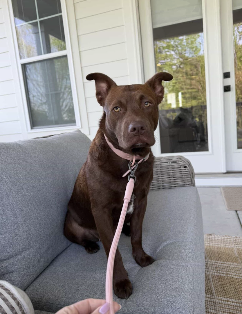 Screenshot 2026-04-16 at 7.23.11 PM.png