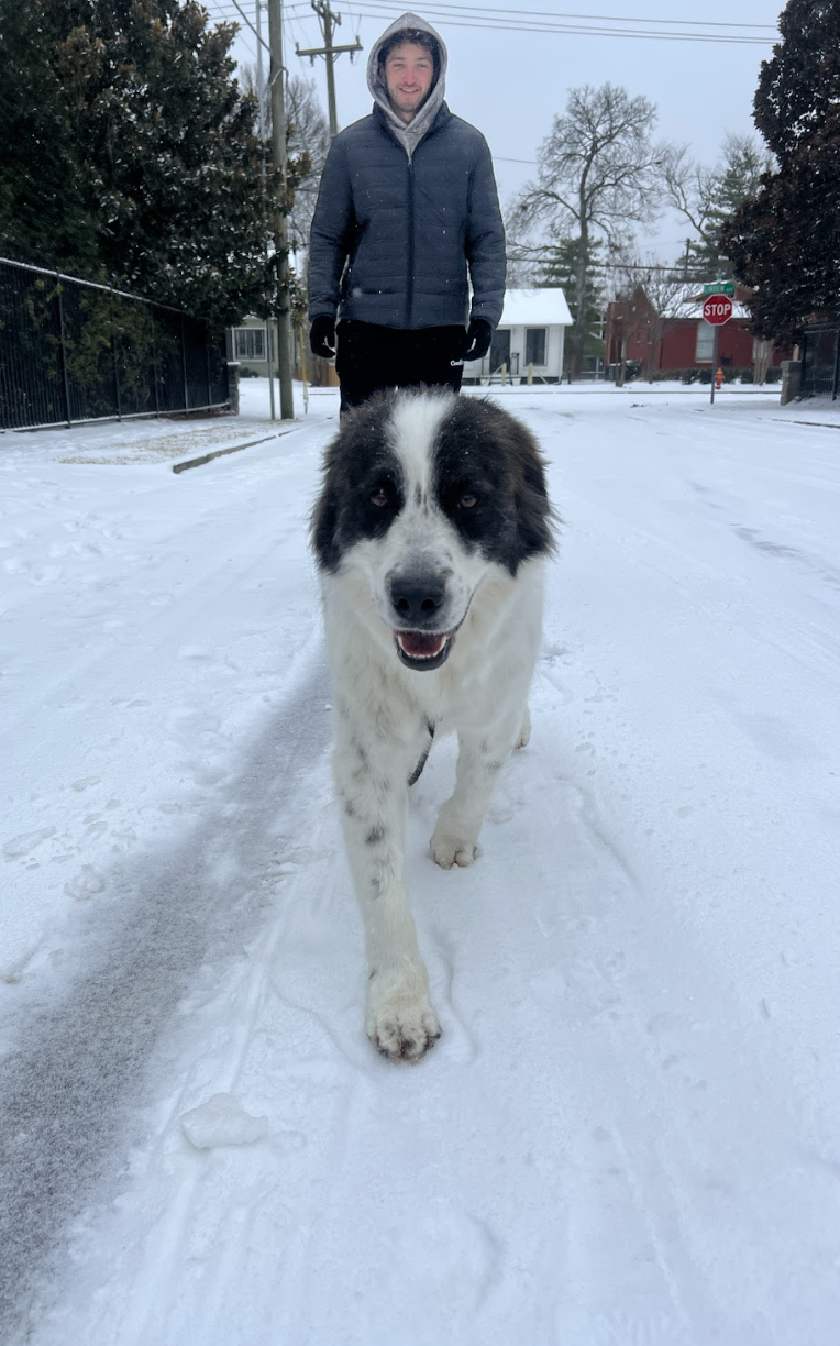 Screenshot 2026-01-25 at 10.07.41 AM.png