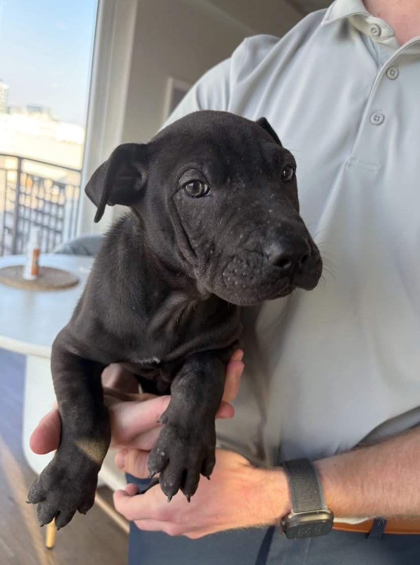 Screenshot 2026-03-30 at 12.58.49 PM.png