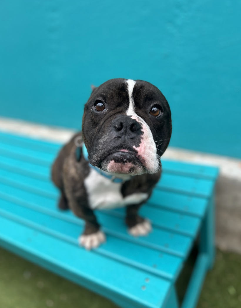 Screenshot 2026-03-30 at 1.15.17 PM.png