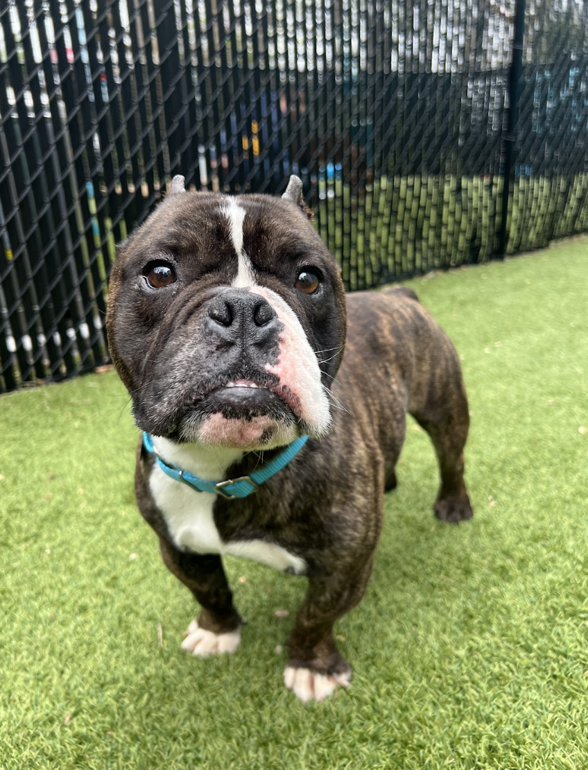 Screenshot 2026-03-30 at 1.15.23 PM.png