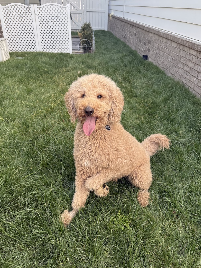 Screenshot 2026-02-13 at 4.48.17 PM.png