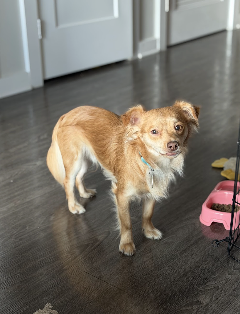 Screenshot 2026-03-21 at 2.14.07 PM.png