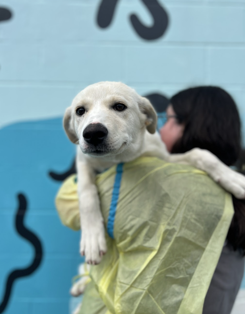 Screenshot 2026-04-14 at 2.58.28 PM.png