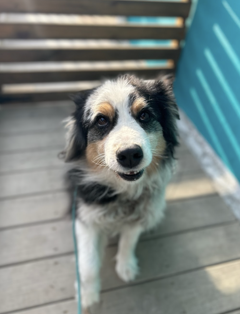 Screenshot 2026-03-05 at 2.25.43 PM.png