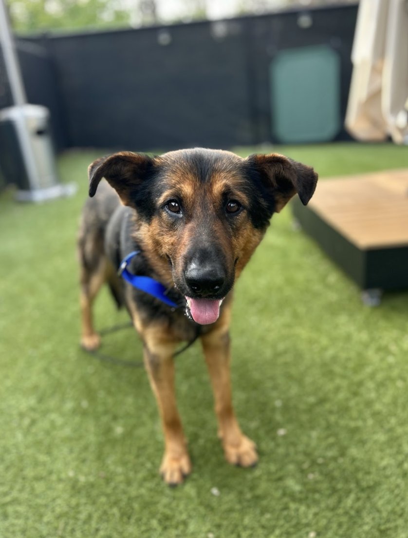 Screenshot 2026-03-26 at 2.23.38 PM.png