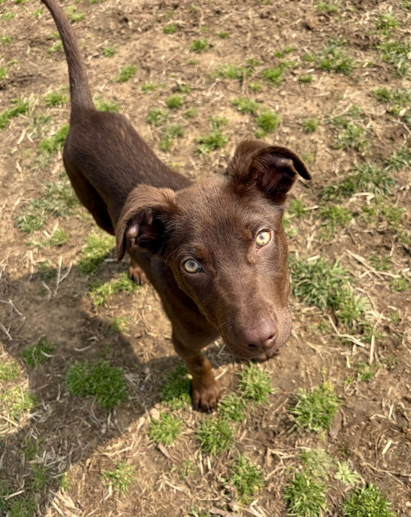 Screenshot 2026-04-03 at 1.34.00 PM.png