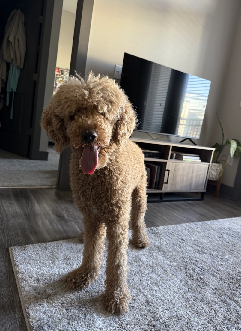 Screenshot 2026-01-20 at 2.20.25 PM.png