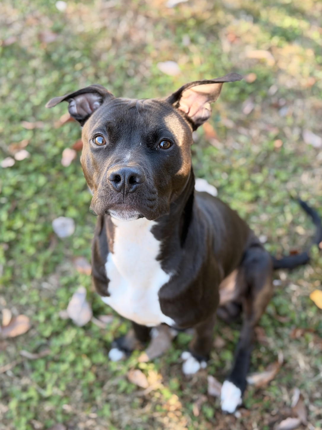 Screenshot 2025-12-03 at 2.02.23 PM.png