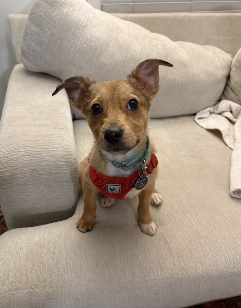 Screenshot 2026-01-24 at 4.32.58 PM.png