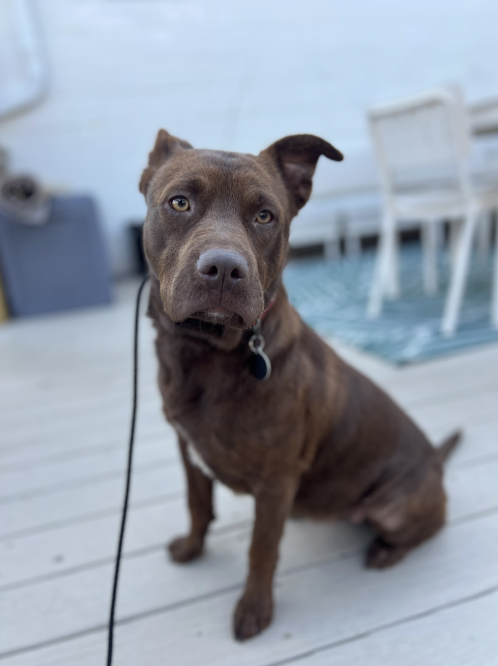 Screenshot 2026-02-16 at 6.18.03 PM.png