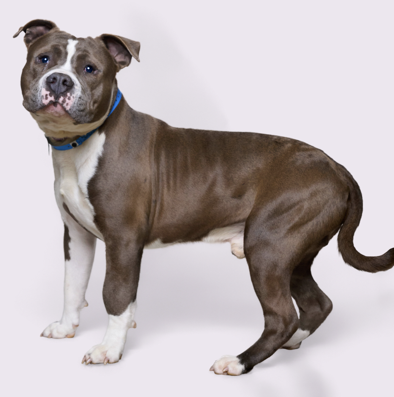 Screenshot 2026-02-16 at 6.41.12 PM.png