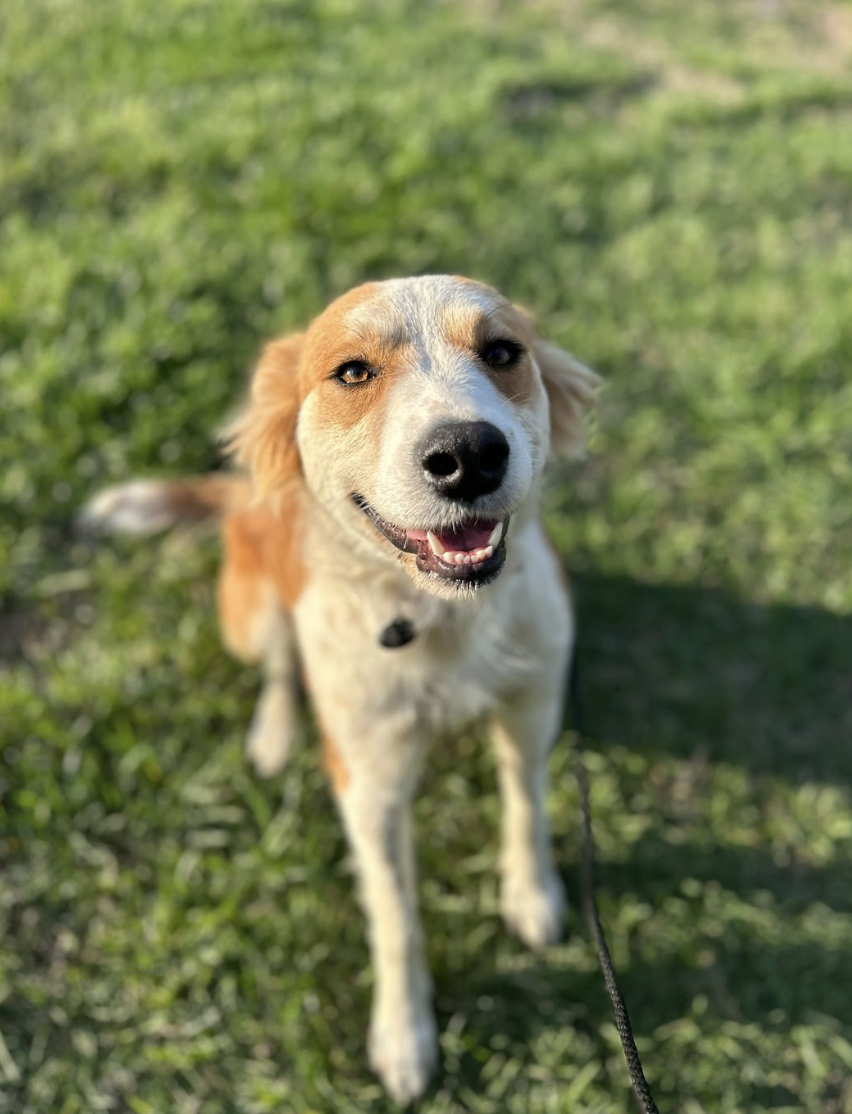 Screenshot 2026-03-14 at 5.05.17 PM.png