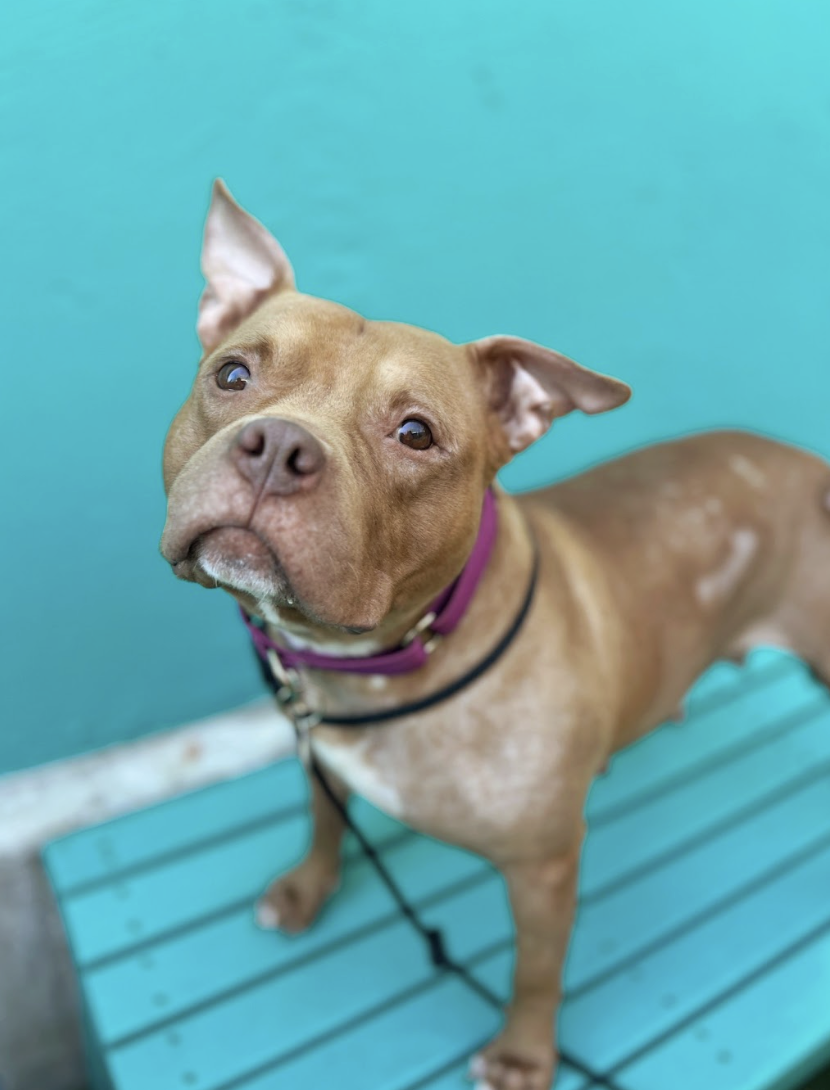 Screenshot 2026-04-22 at 5.58.16 PM.png