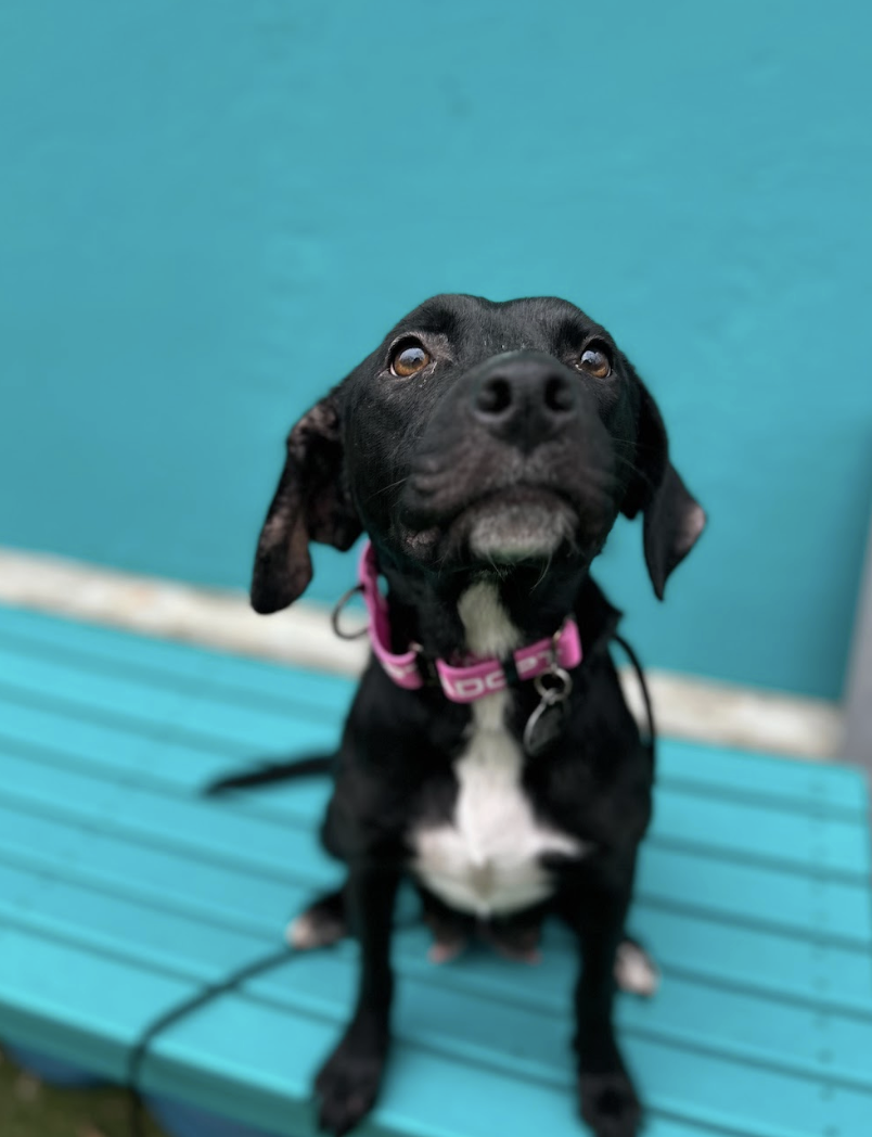 Screenshot 2026-02-05 at 2.30.46 PM.png