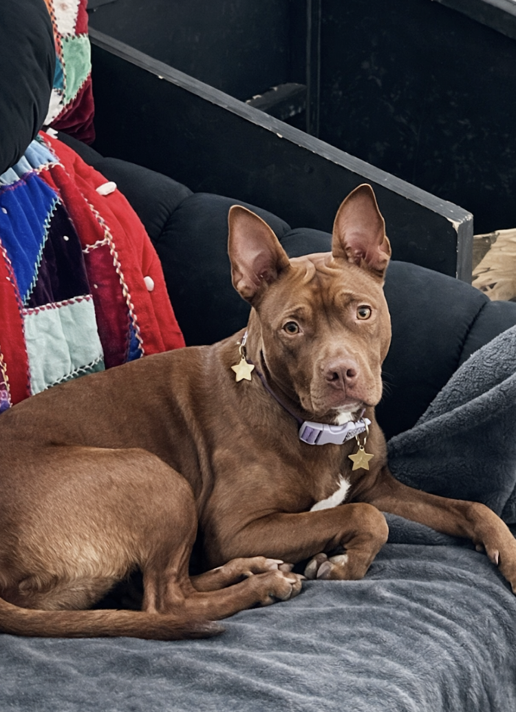 Screenshot 2026-02-20 at 2.53.27 PM.png