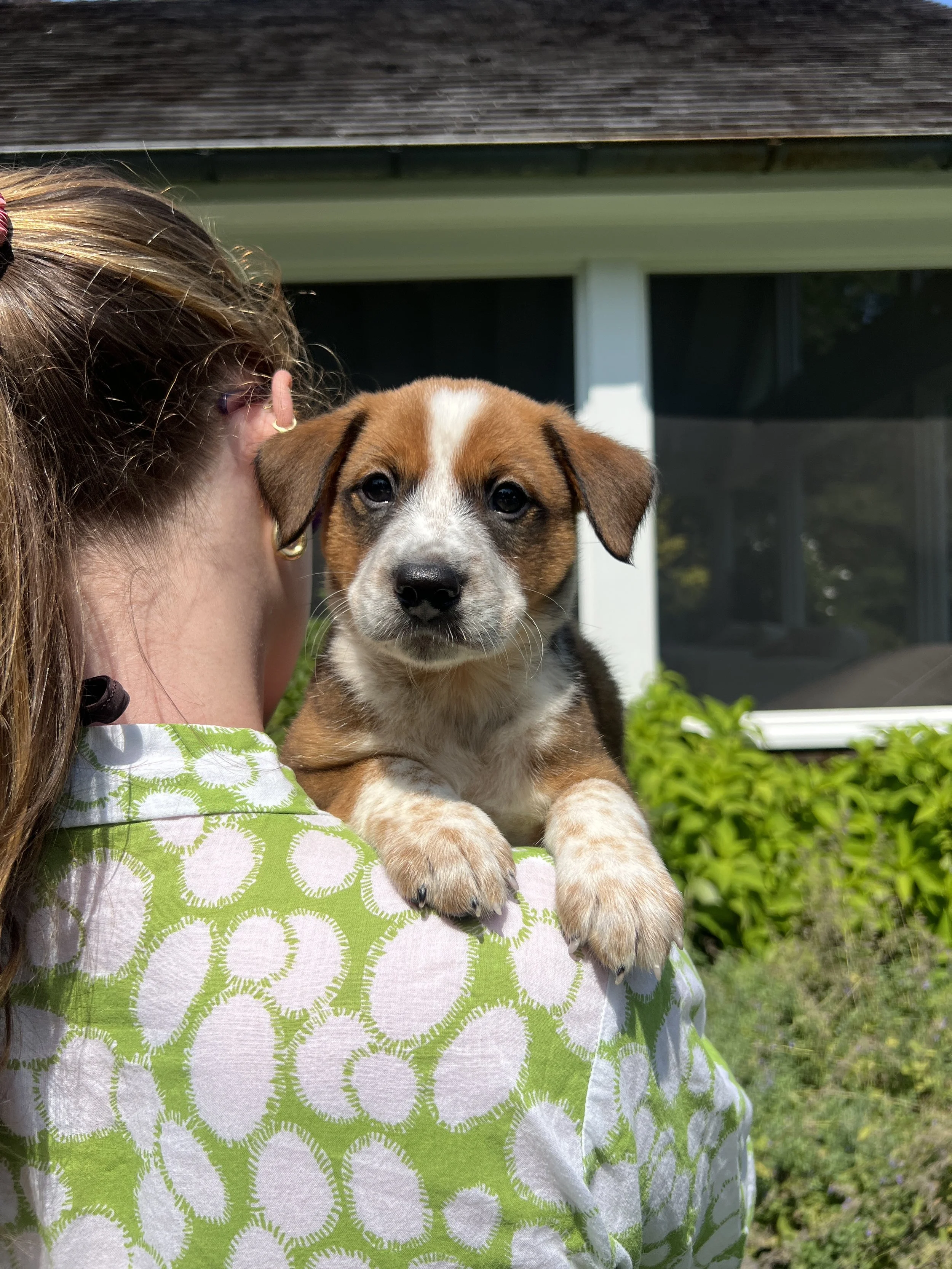 Floro, The "F" Litter