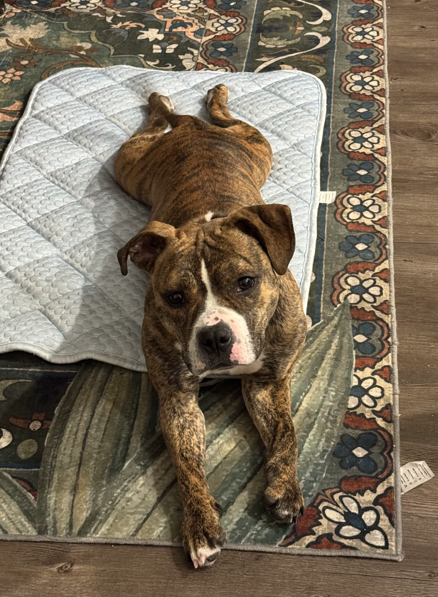 Screenshot 2026-01-14 at 9.16.49 PM.png