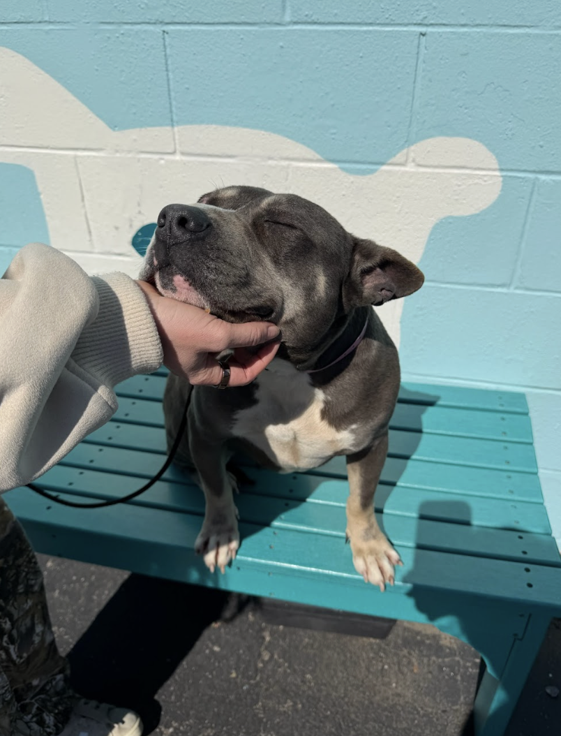 Screenshot 2026-03-26 at 2.15.27 PM.png