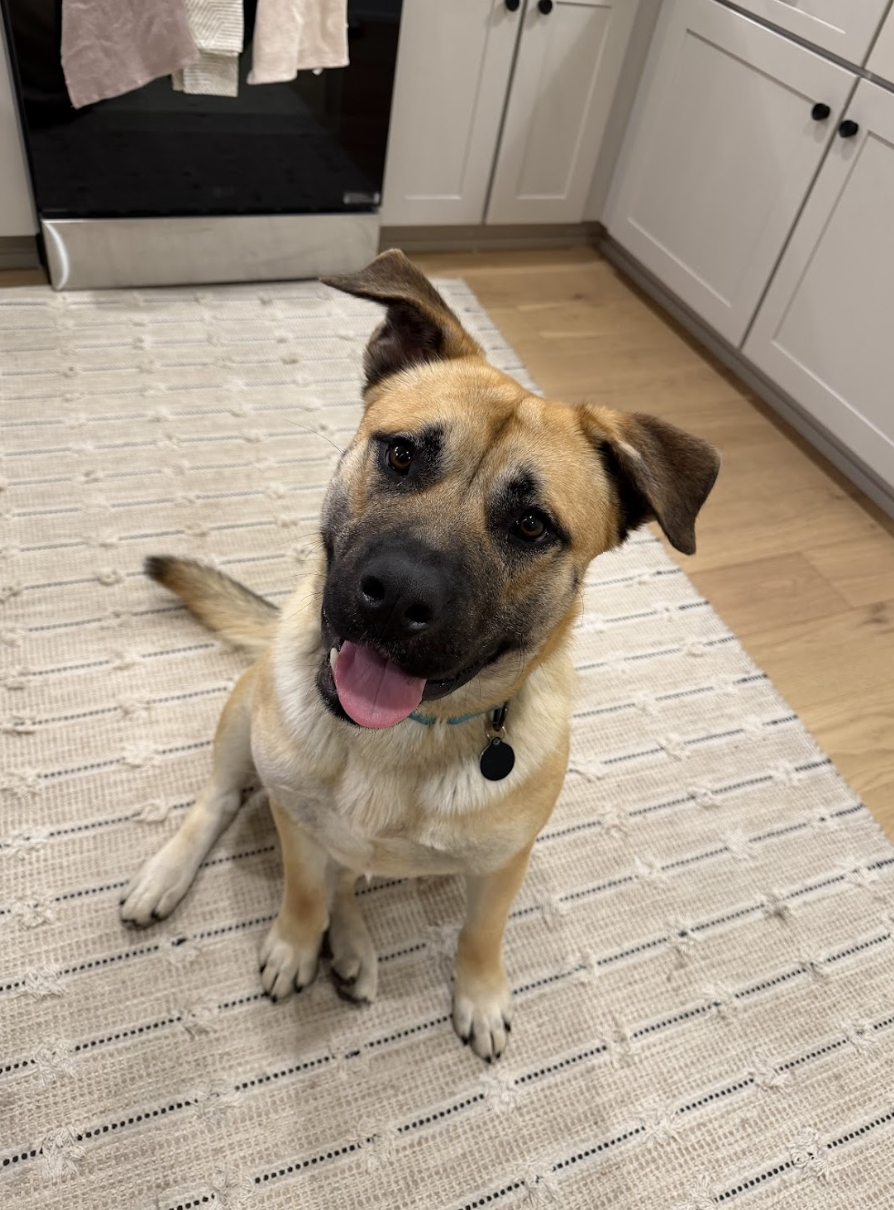 Screenshot 2026-02-27 at 1.54.05 PM.png