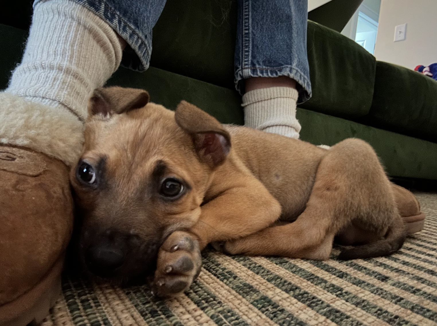 Screenshot 2026-02-17 at 4.02.22 PM.png