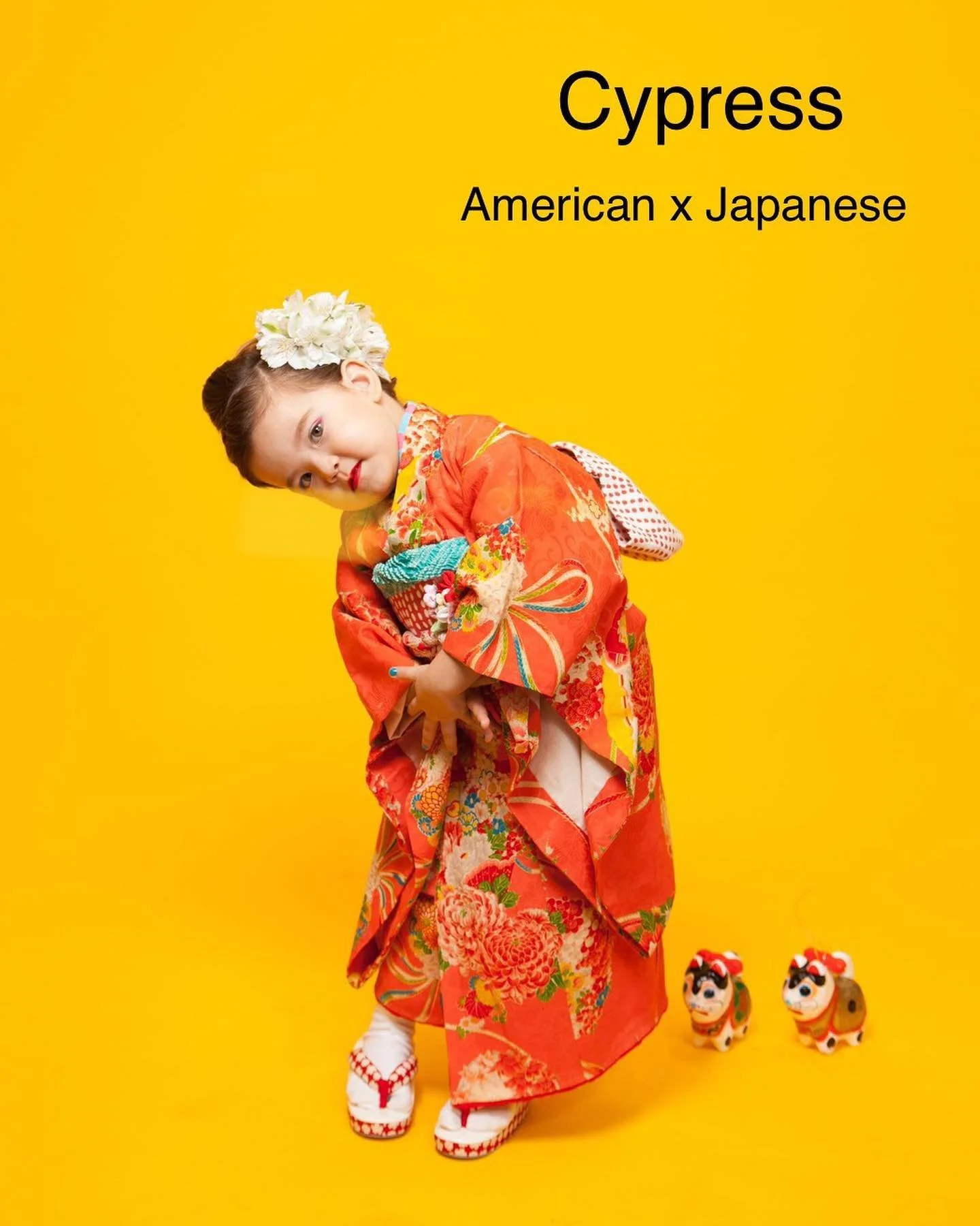 #おばあちゃんが七五三のとき着た着物#おじいちゃんとの思い出の品#ny #nykids #sichigosan #kimono #japaneseculture #japanesetraditional #kimonogirl #vintagekimono #salonjatel #unionsquare  #3yearsold #5yearsold #7yearsold #nyで七五三 #nyで着物 #nyで着付け#七五三 #七五三前撮り #アンティーク着物 #ヴィンテージ着物