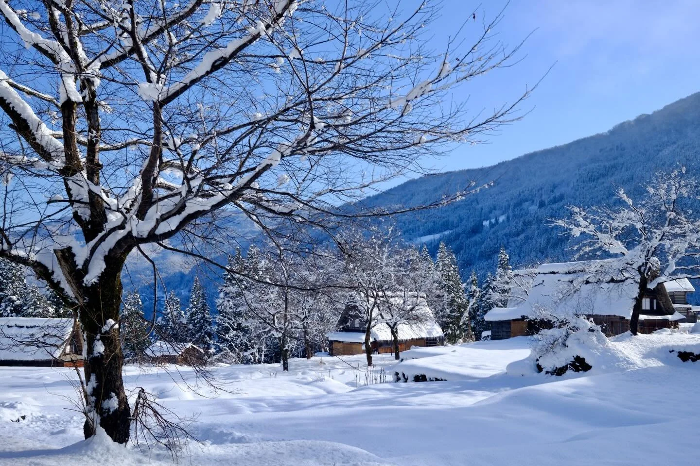 明けましておめでとうございます！
Happy New Year! 🥳