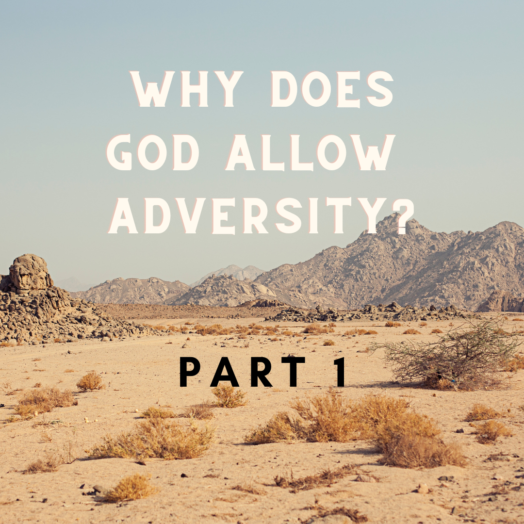 Why Does God Allow Adversity? (Part 1)