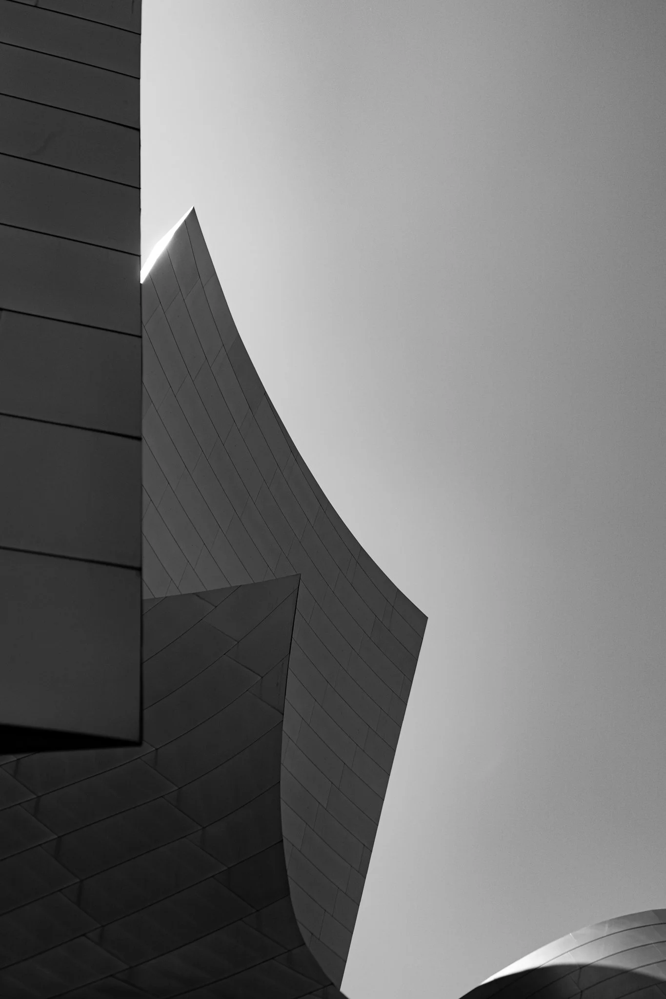 5-29-24 4220 Gallery Walt Disney Concert Hall Broad-05.jpg