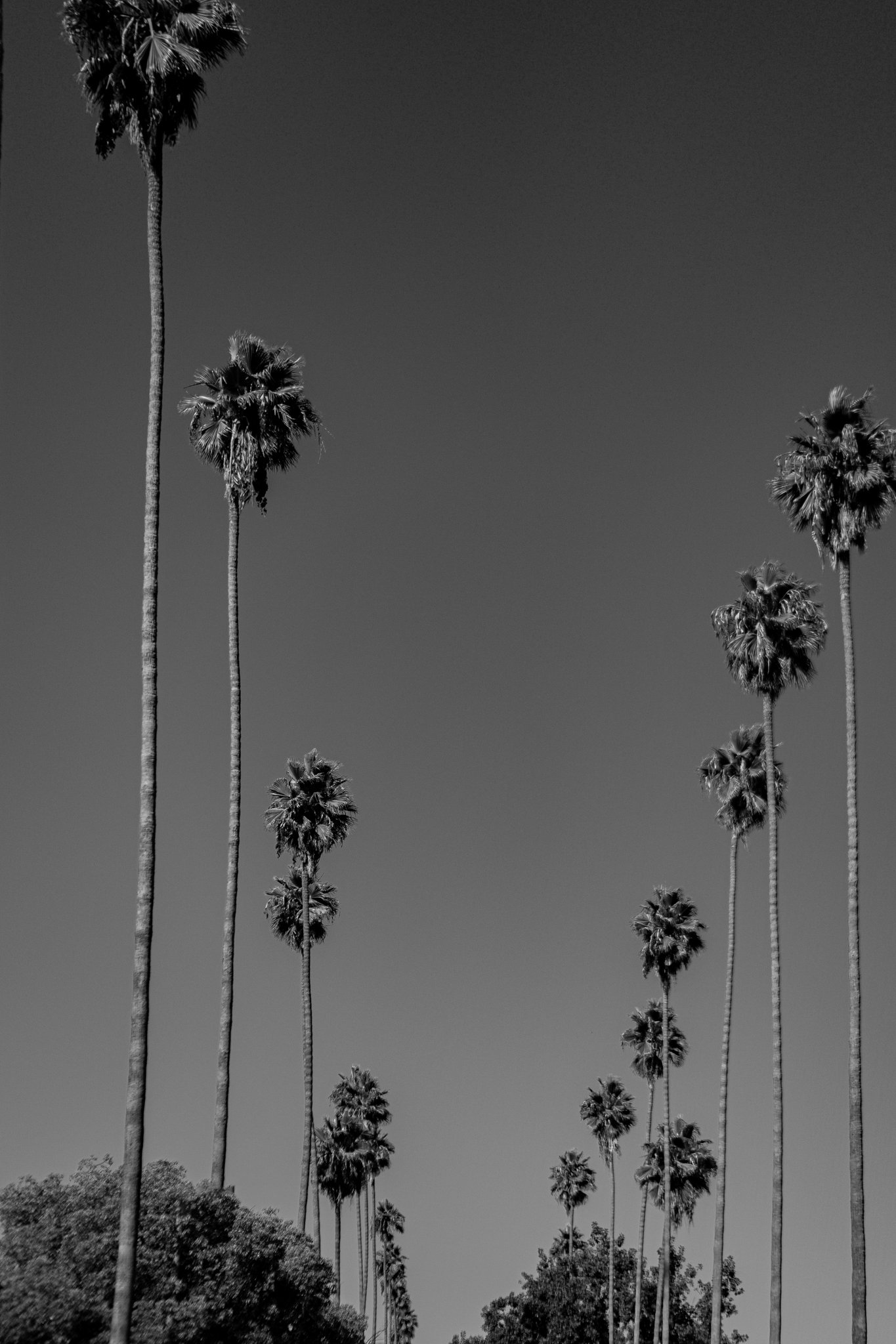 11-9-24 Dodger Stadium Sign-1.jpg