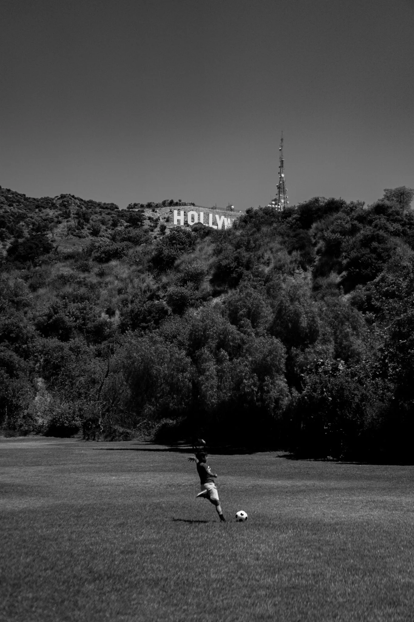 7-20-24 4220 Hollywood Sign-2.jpg