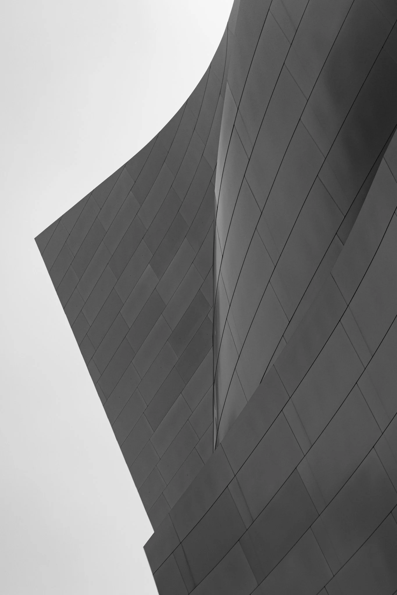5-29-24 4220 Gallery Walt Disney Concert Hall Broad-01.jpg