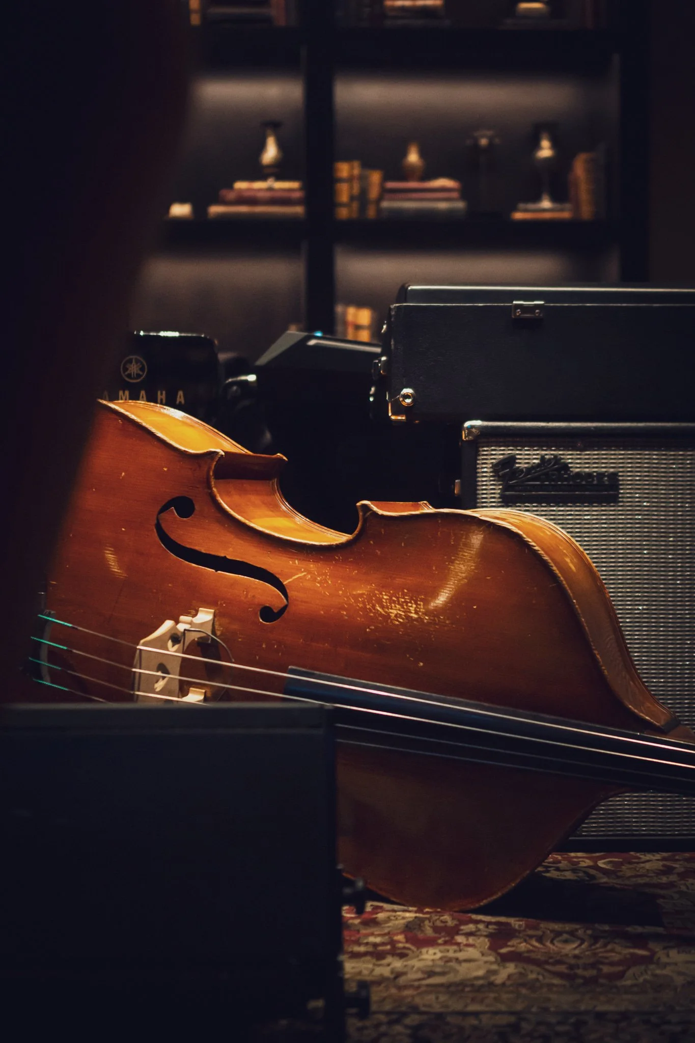 2-17-23 Bass and Room Shots-1.jpg