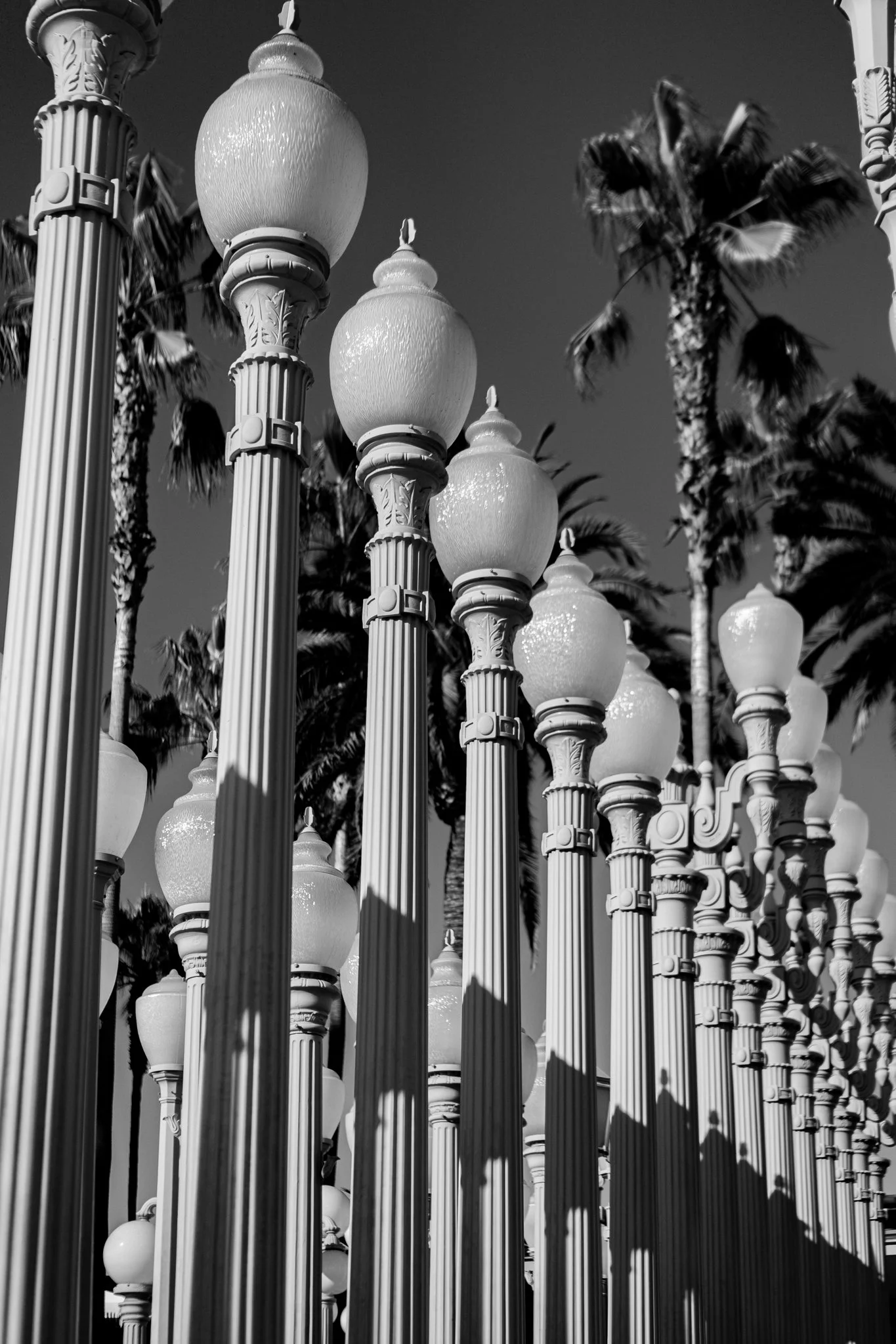 11-20-24 4220 LACMA Lamps-09.jpg