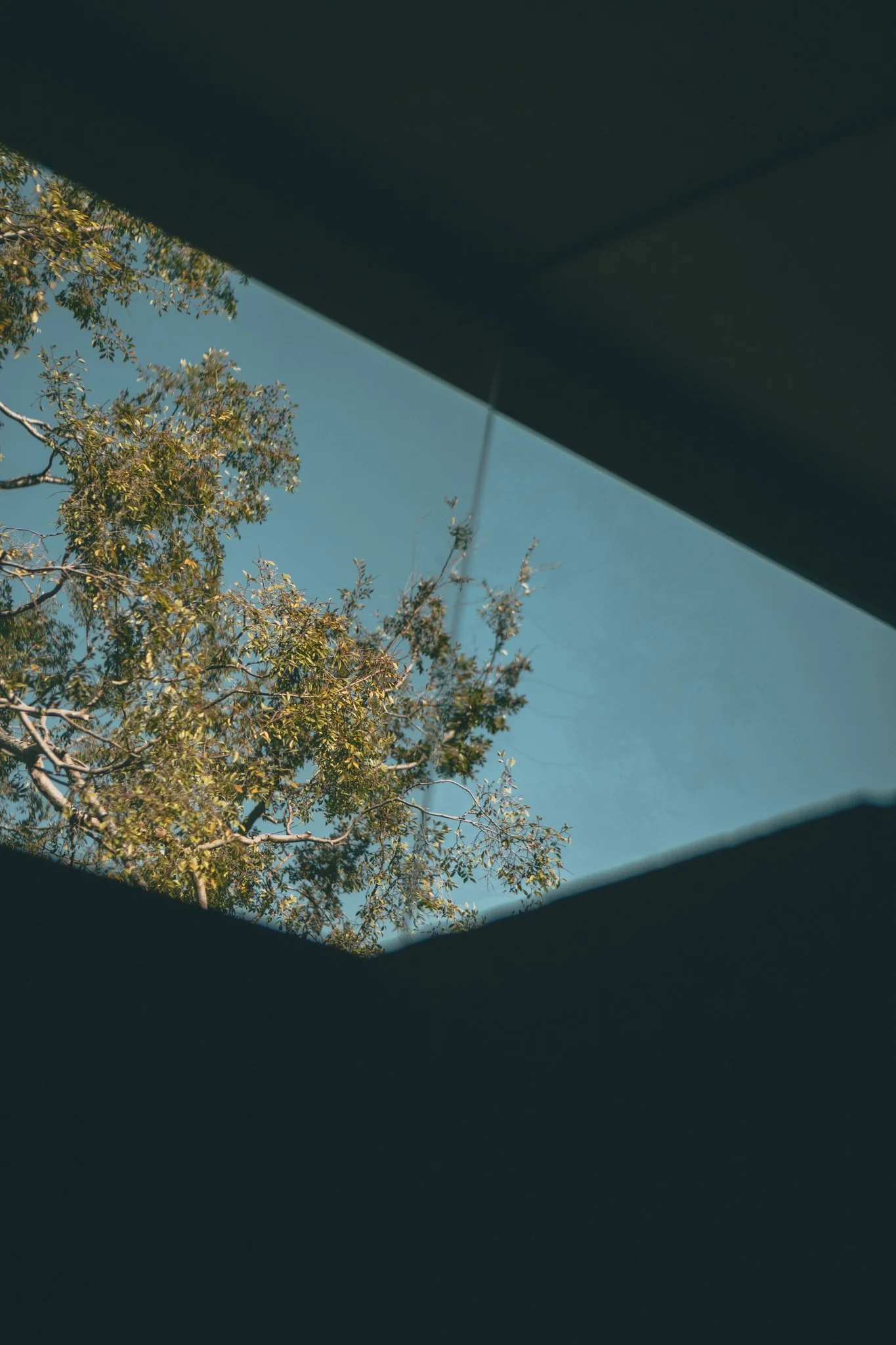 10-12-25 John Lautner Salkin House -17.jpg