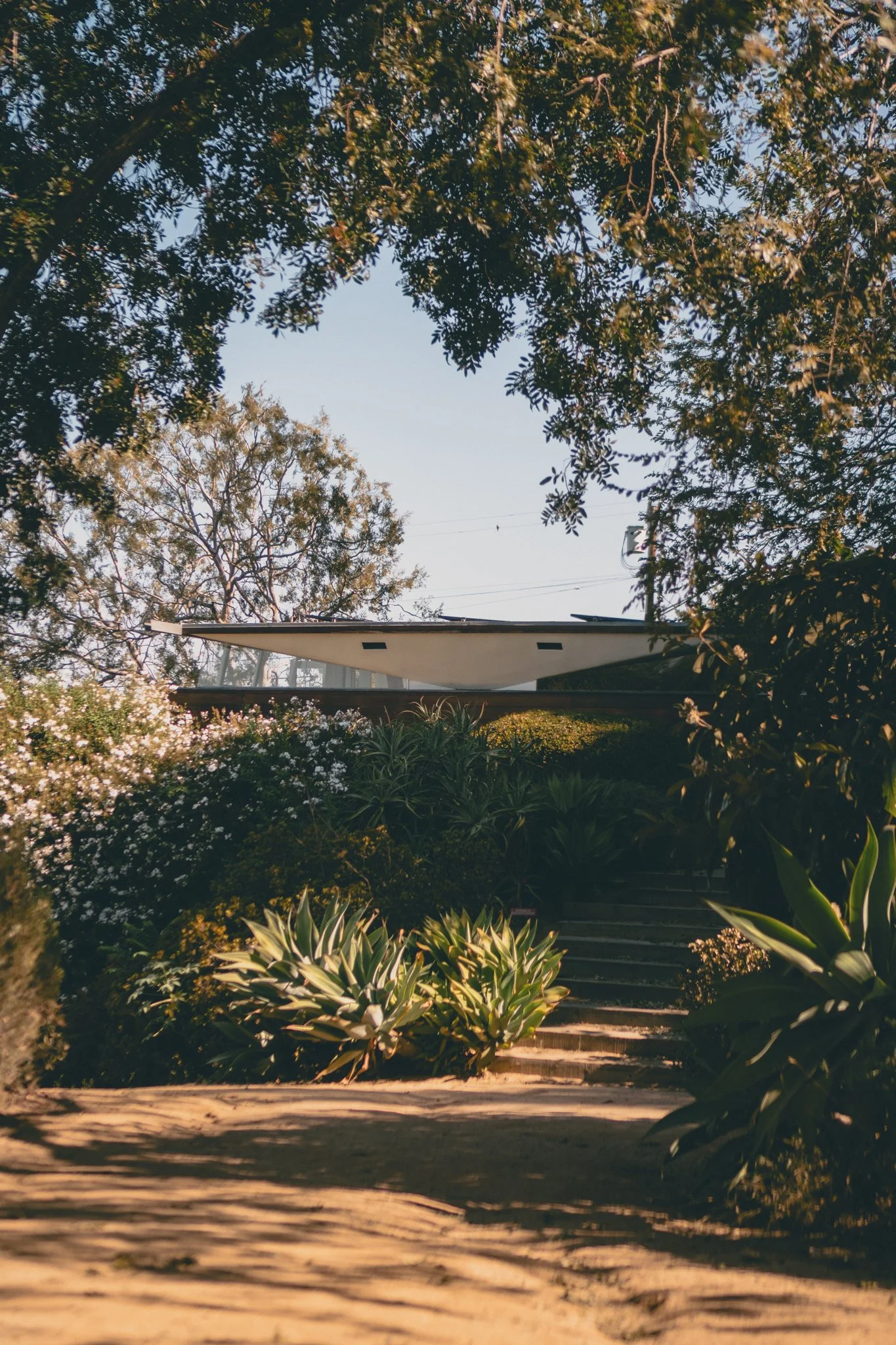 10-12-25 John Lautner Salkin House -41.jpg