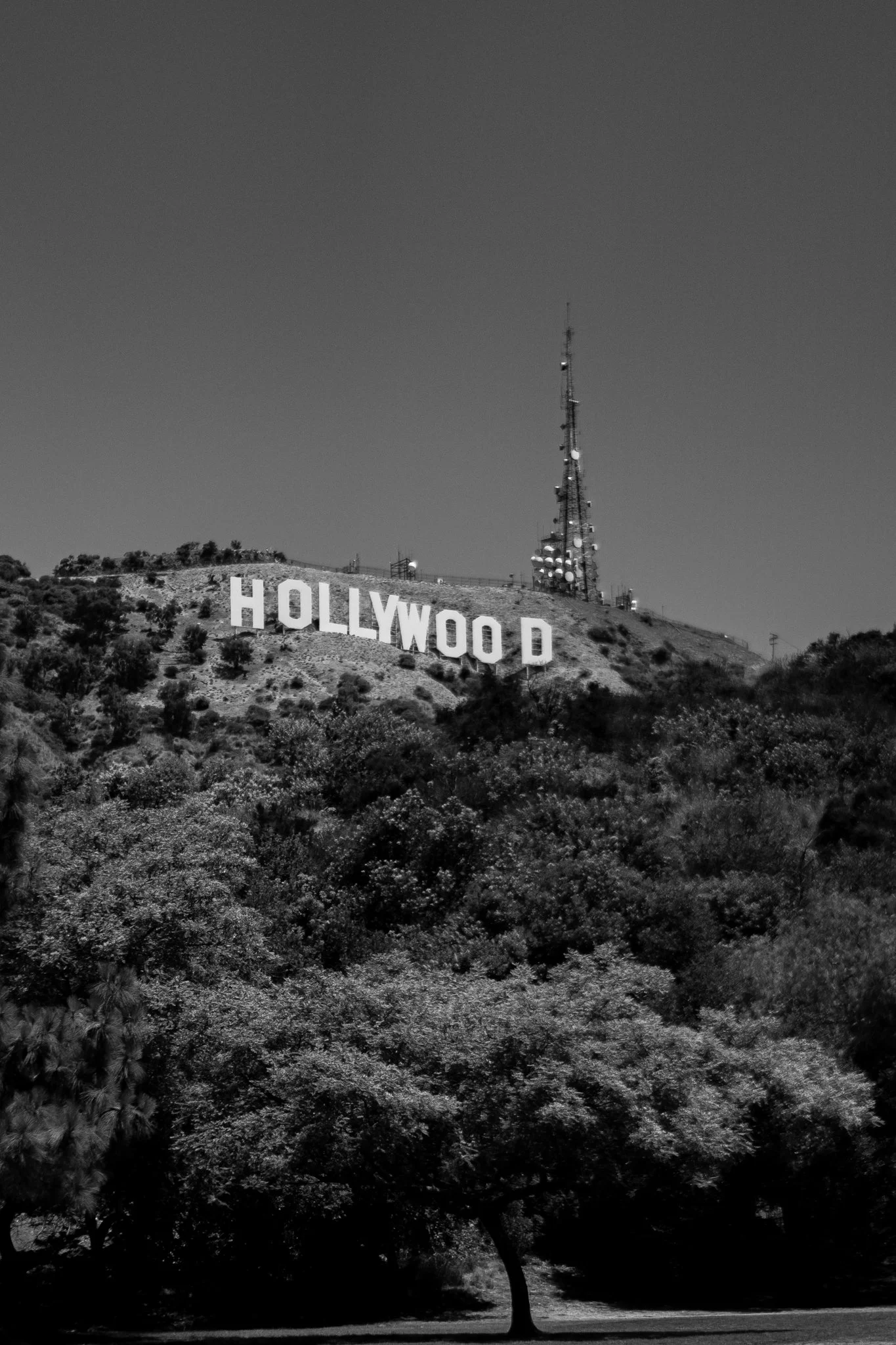 7-20-24 4220 Hollywood Sign-4.jpg
