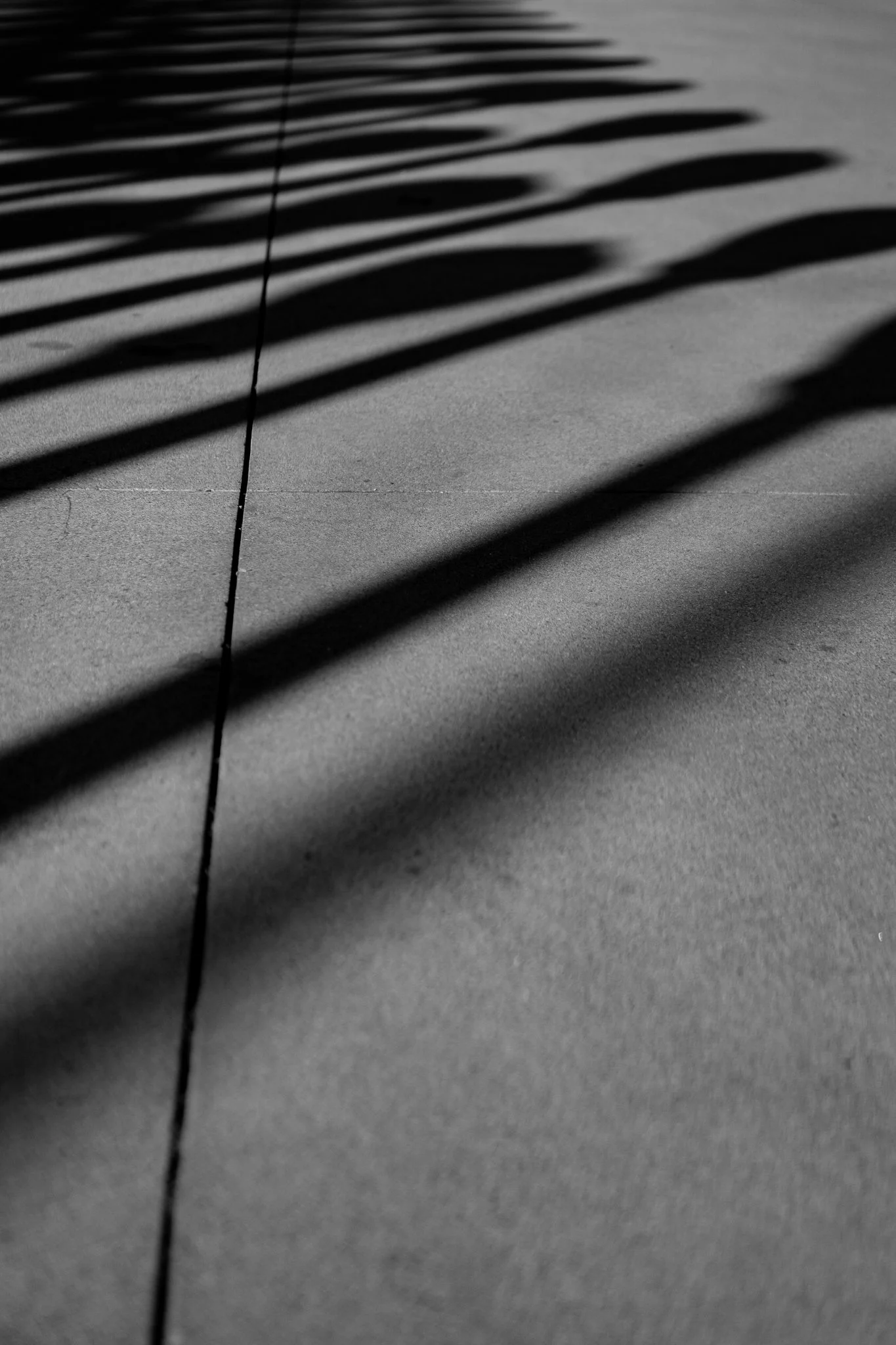 11-20-24 4220 LACMA Lamps-15.jpg