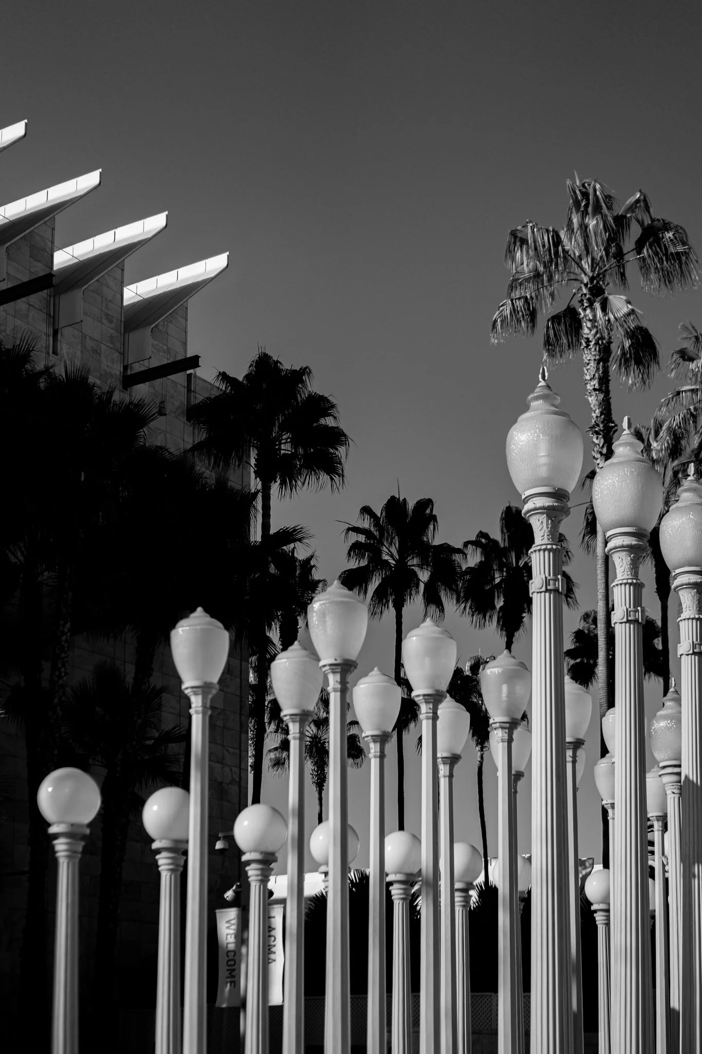 11-20-24 4220 LACMA Lamps-06.jpg