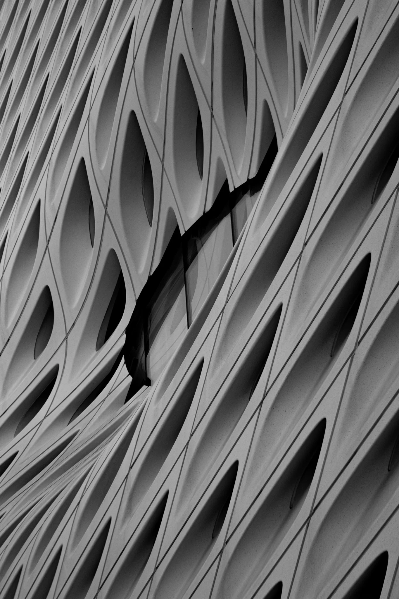 5-29-24 4220 Gallery Walt Disney Concert Hall Broad-43.jpg