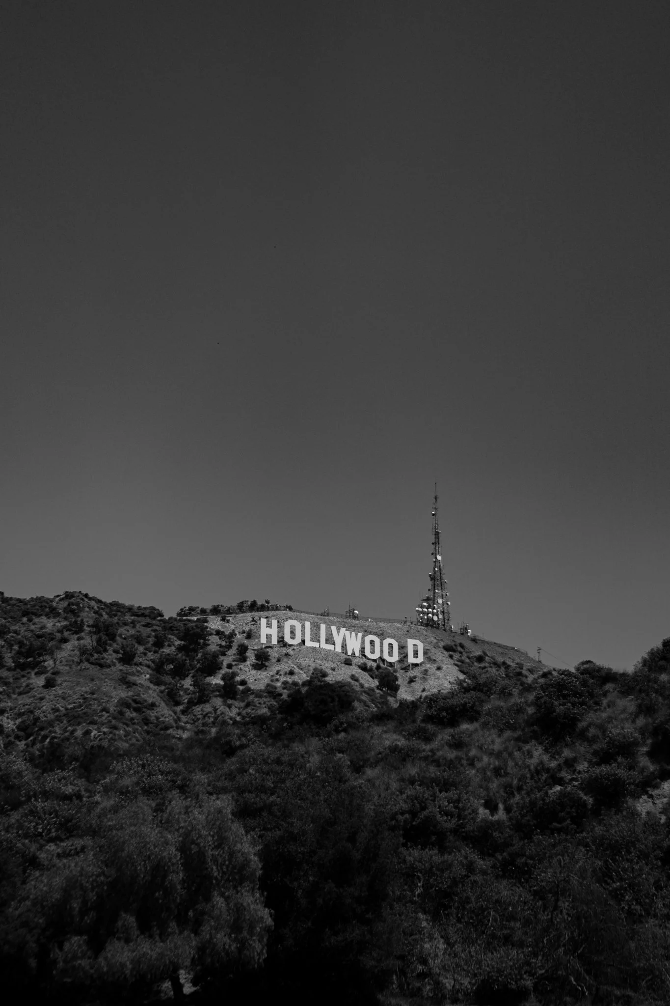 7-20-24 4220 Hollywood Sign-3.jpg