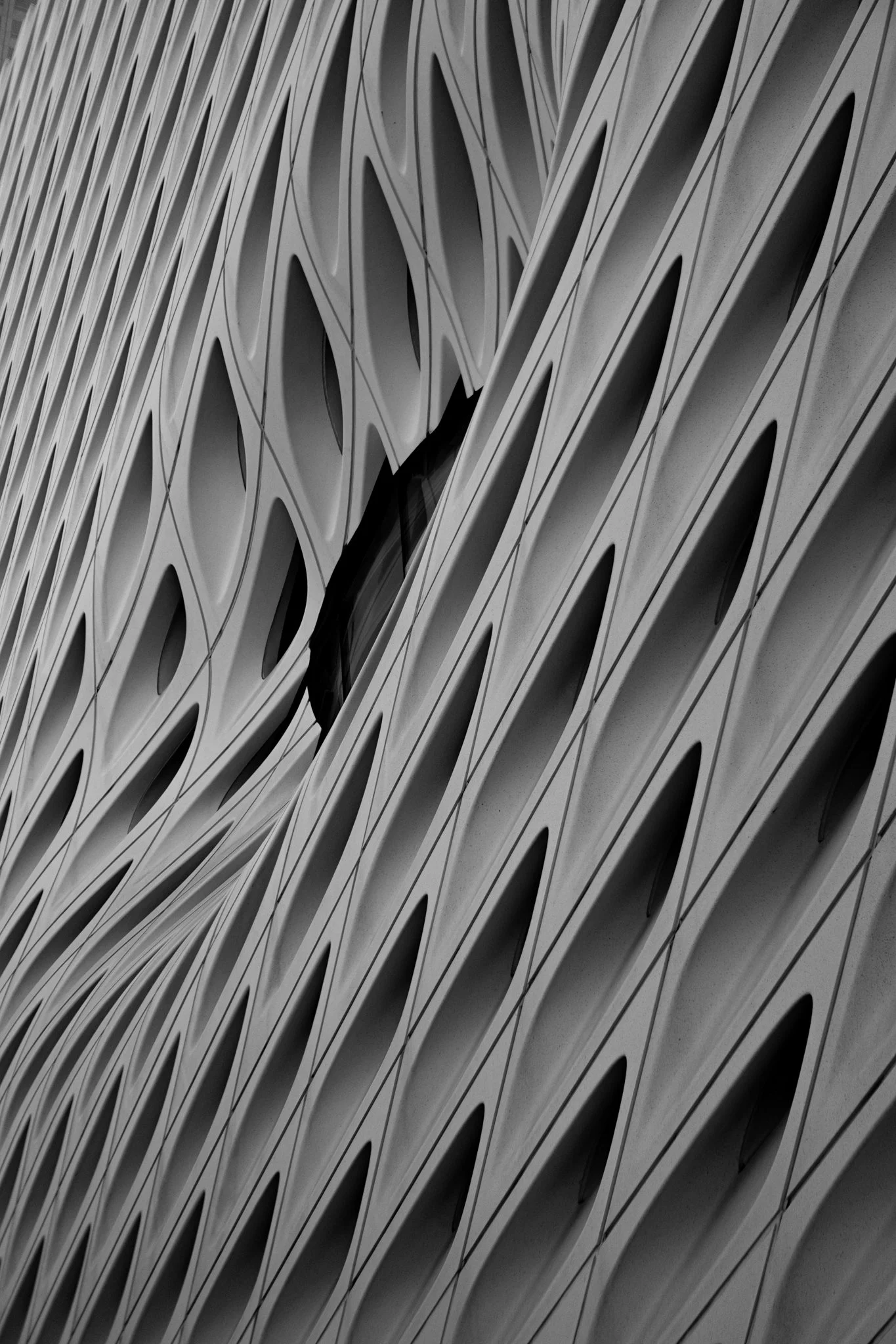 5-29-24 4220 Gallery Walt Disney Concert Hall Broad-42.jpg