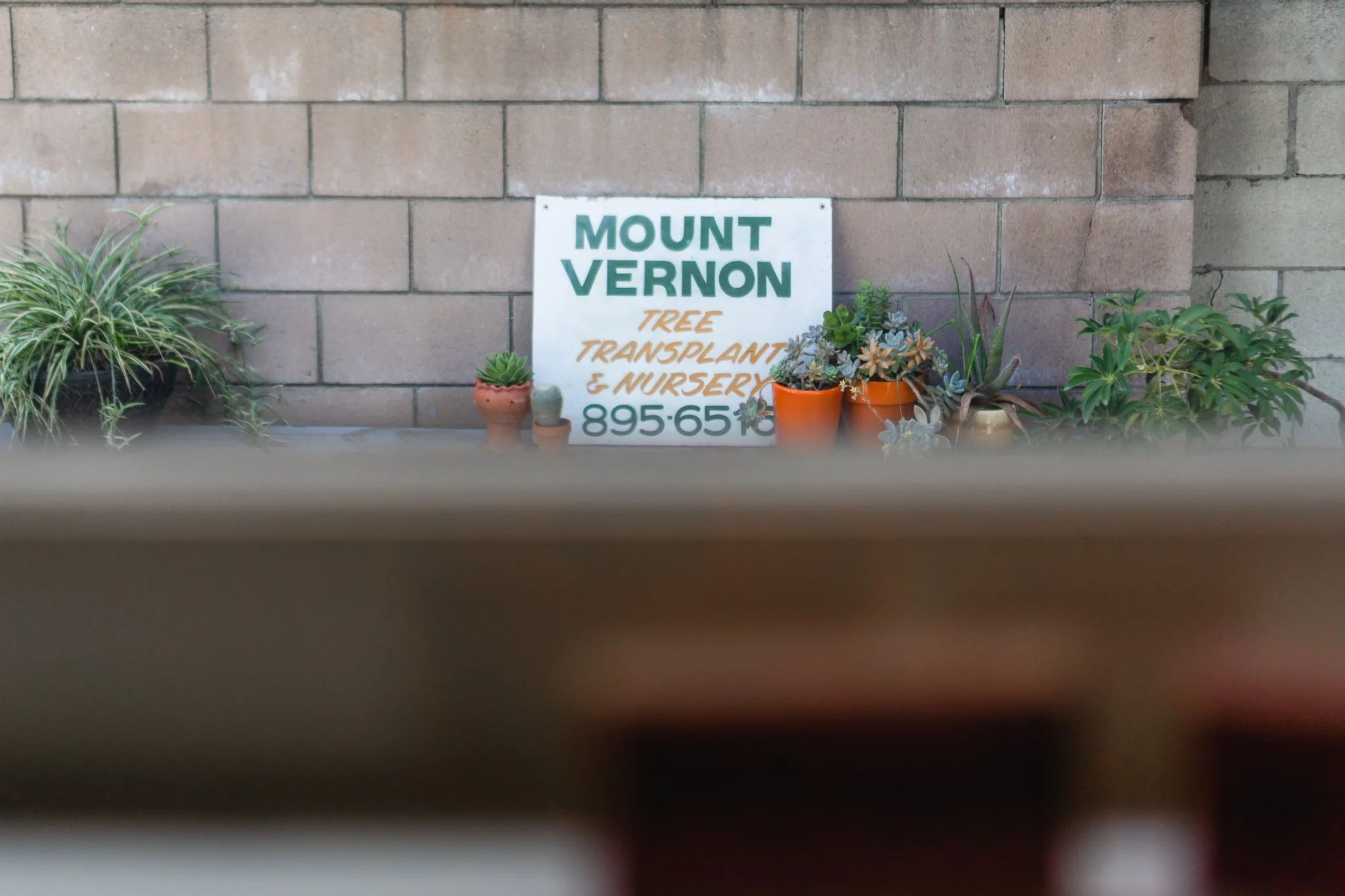 4-29-22 Ruby Wendell House-162.jpg