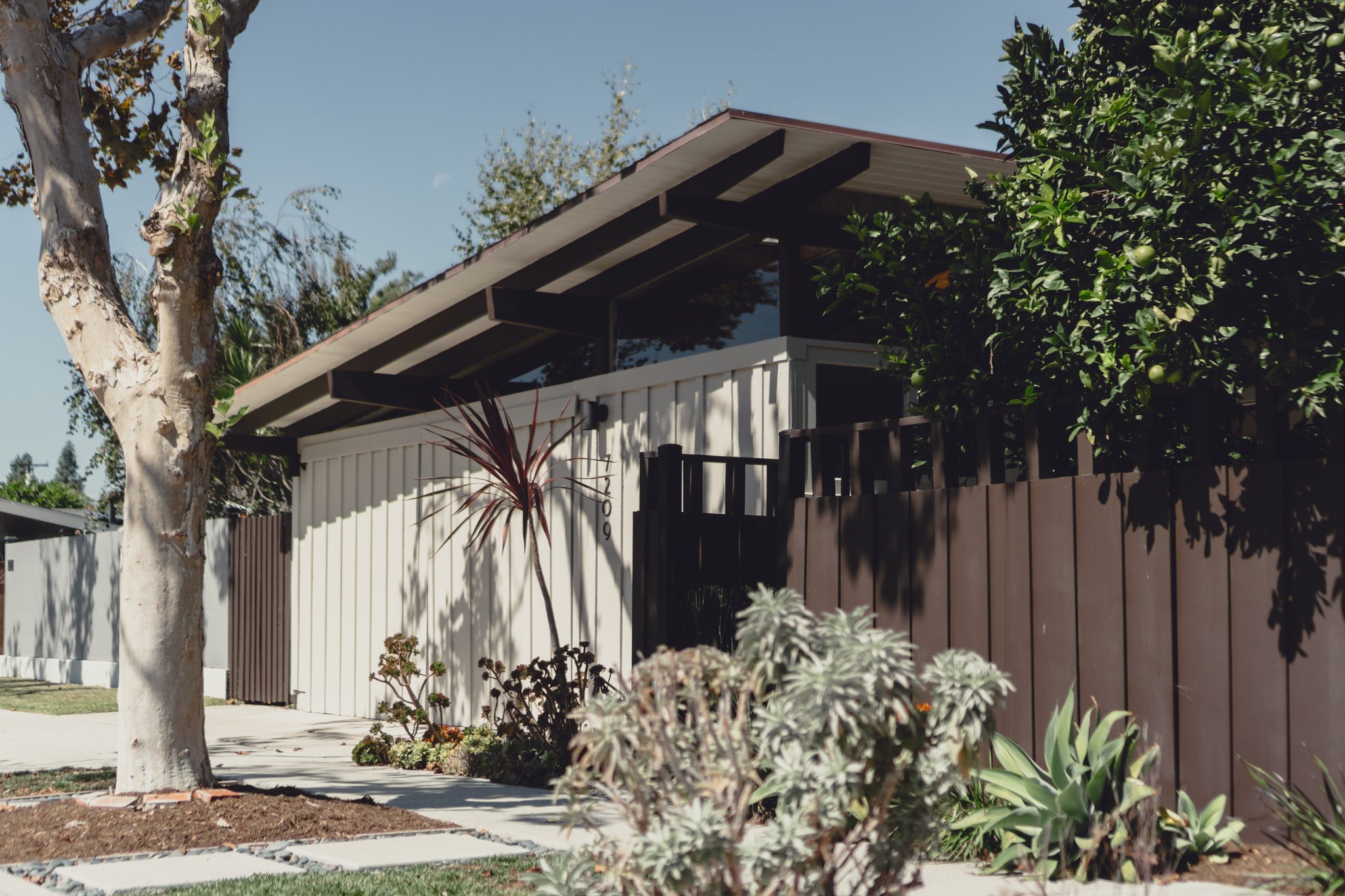 10-5-23 7209 E Killdee St-09.jpg